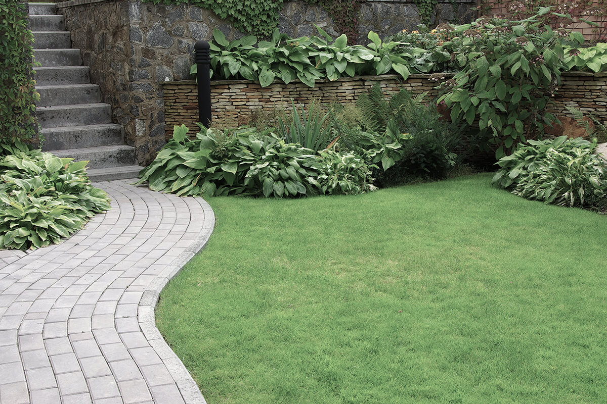 Welcome to A Cut Above Landscaping